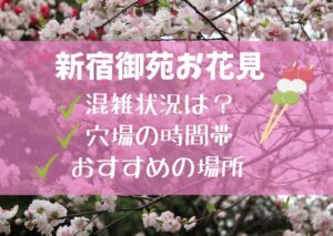 新宿御苑の桜【お花見2023】の混雑状況！穴場の時間帯やおすすめの場所も調査
