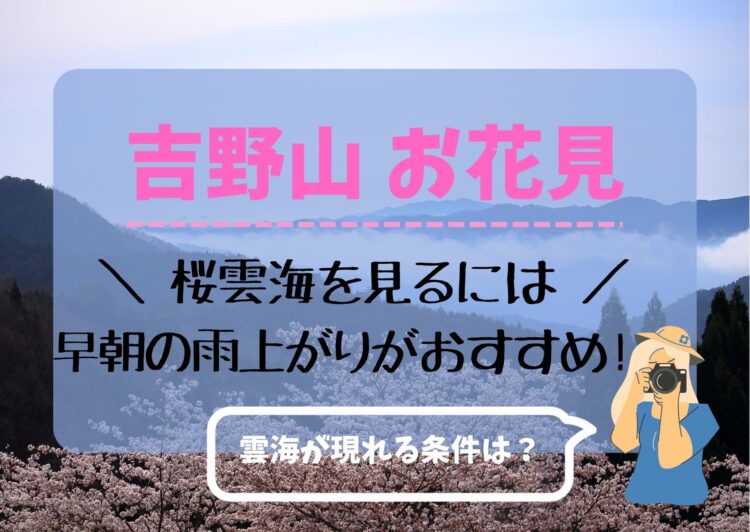 吉野山のお花見2023！桜雲海を見るには早朝の雨上がり！雲海が現れる条件は？
