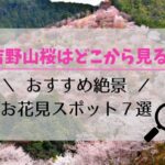 吉野山の桜2023はどこから見る？おすすめ絶景お花見スポット７選！