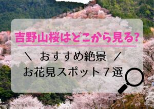 吉野山の桜2024はどこから見る？おすすめ絶景お花見スポット７選！