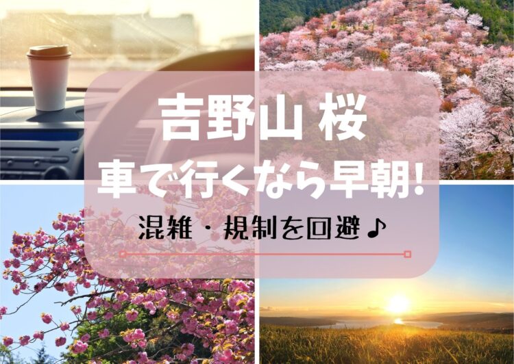 【吉野山の桜2023】車で行くなら早朝がおすすめ！混雑・規制を回避できる♪