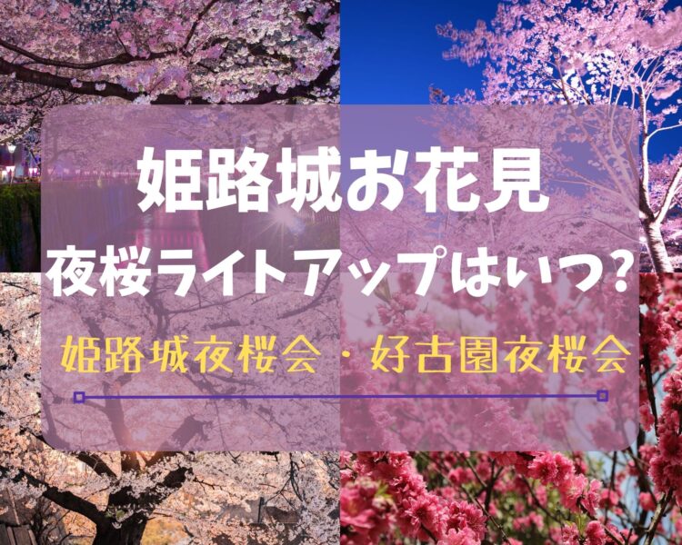 姫路城お花見2023夜桜ライトアップはいつ？姫路城・好古園夜桜会を詳しく解説！