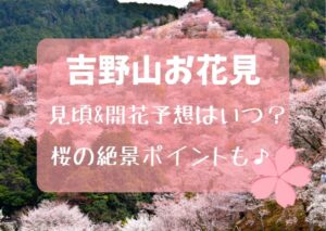 吉野山のお花見2023！見頃・開花時期はいつ？桜の絶景ポイントも！