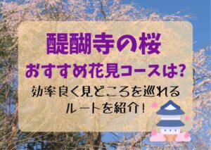 醍醐寺の桜2023のおすすめ花見コースは？効率良く見どころを巡れるルートを紹介！