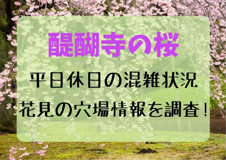 醍醐寺の桜2023！平日休日の混雑状況や花見の穴場情報も調査！