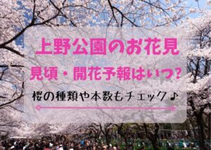 上野公園の花見2023！見頃・開花時期はいつ？桜の見どころも！