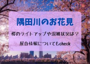 隅田川のお花見2023！桜のライトアップや混雑状況は？屋台情報についても