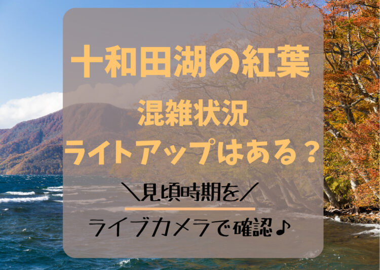 十和田湖の紅葉2023混雑状況やライトアップ！見頃時期をライブカメラチェック♪