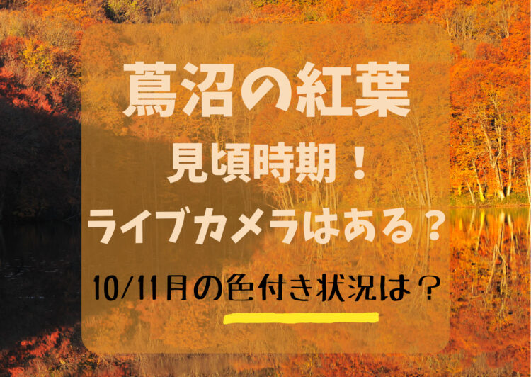 蔦沼の紅葉2023ライブカメラはある?見頃時期や10月11月の色付き状況も