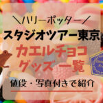 ハリポタ・スタジオツアー東京のカエルチョコアイテム！値段・写真と共に紹介♪ハリーポッター・としまえん