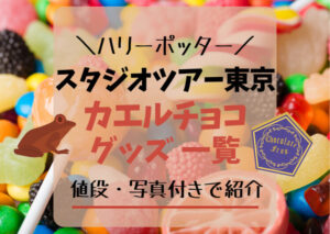 ハリポタ・スタジオツアー東京のカエルチョコアイテム！値段・写真と共に紹介♪ハリーポッター・としまえん