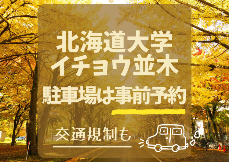 北海道大学イチョウ並木2023の駐車場は事前予約で！交通規制も