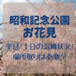 昭和記念公園のお花見2024平日/土日の混雑状況!場所取りは必要？